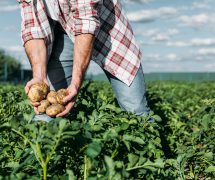 What do you know about social challenges in the food industry?