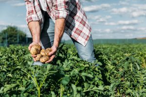 What do you know about social challenges in the food industry?